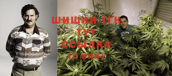 хмурый Алексеевка