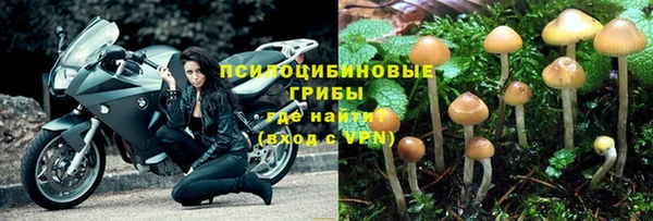 бошки Алзамай
