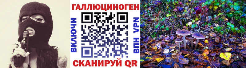 Галлюциногенные грибы Psilocybine cubensis  хочу   Алушта 